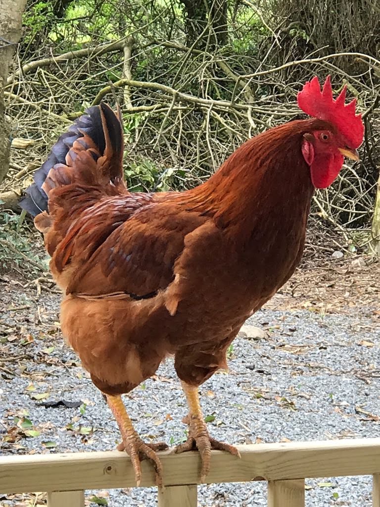 c2db3590-2213-4473-887a-91acb138be29